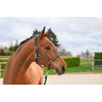 Licol Clincher Jump'In One Premium Havane