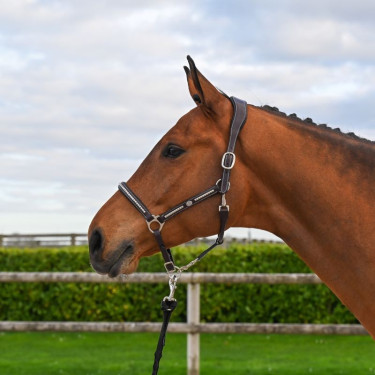 Halster Clincher Jump'In One Premium Halster Clincher Jump'In One Premium
