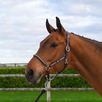 Halster Clincher Jump'In One Premium Havana Bruin