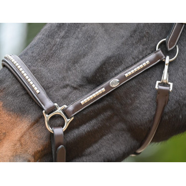 Halster Clincher Jump'In One Premium Halster Clincher Jump'In One Premium