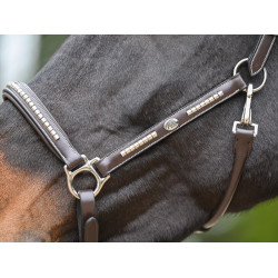 Licol Clincher Jump'In One Premium Havane Marron Licol Clincher Jump'In One Premium Havane Marron