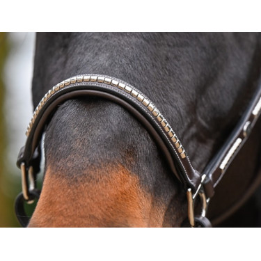 Halster Clincher Jump'In One Premium Halster Clincher Jump'In One Premium