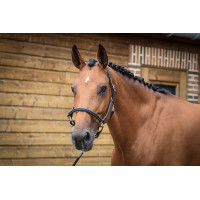 Poets halster Jump'In One Zwart Poets halster Jump'In One Zwart