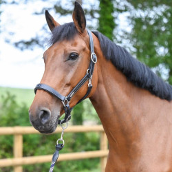 Halter Fancy Jump'In One Zwart