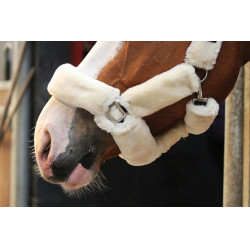 Licol Jump'In Soft One Beige