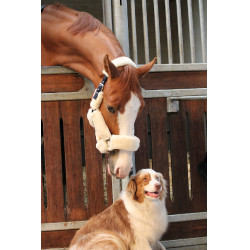 Licol Jump'In Soft One Beige