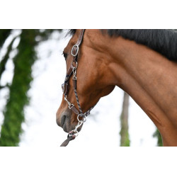 Licol travel Jump'In One Noisette