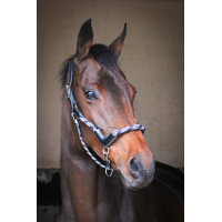 Halster travel Jump'In One Zwart