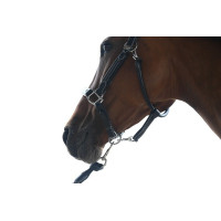 Halster woensdag Jump'In week Havana Bruin Halster woensdag Jump'In week Havana Bruin