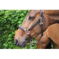 Halster woensdag Jump'In week Havana Bruin Halster woensdag Jump'In week Havana Bruin