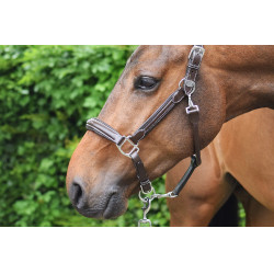 Halster woensdag Jump'In week Havana Bruin