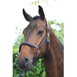 Licol wednesday Jump'In week Havane Marron Licol wednesday Jump'In week Havane Marron