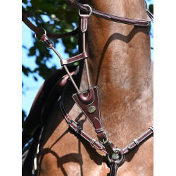 Elastische martingaal van de Jump'In-halsband Elastische martingaal van de Jump'In-halsband