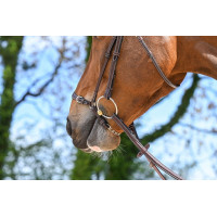 Duitse neusriem met ketting Jump'In Week Mahonie Bordeaux