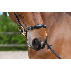 Duitse neusriem Jump'In Week Zwart