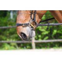 Hackamore neusriem Jump'In Zwart
