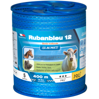 Ruban bleu RB 12 Lacmé