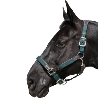 Licol Flags & Cup Nylon/cuir Marron / marine