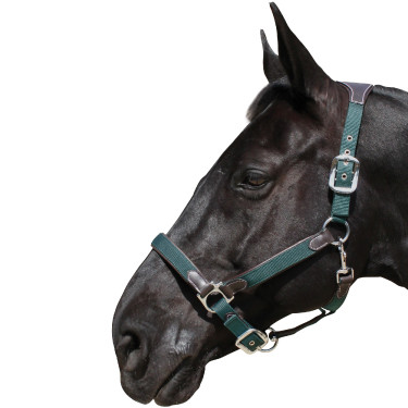 Licol Flags & Cup Nylon/cuir Marron / olive Vert Licol Flags & Cup Nylon/cuir Marron / olive Vert