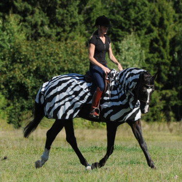 Zebra vliegen deken Bucas Buzz-Off Riding Zebra vliegen deken Bucas Buzz-Off Riding