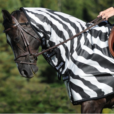 Zebra vliegen deken Bucas Buzz-Off Riding Zebra vliegen deken Bucas Buzz-Off Riding