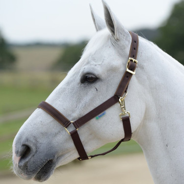 Halster Bucas Dublin Bruin / bruin Halster Bucas Dublin Bruin / bruin