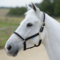 Halster Bucas Dublin Zwart / zilver