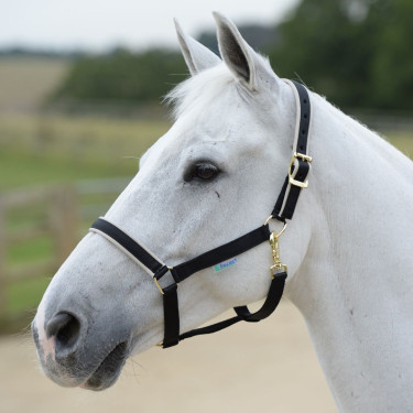 Halster Bucas Dublin Zwart / zilver Halster Bucas Dublin Zwart / zilver