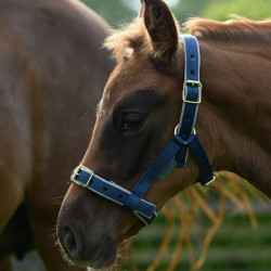 Halster Bucas Dublin Marineblauw / zilver Halster Bucas Dublin Marineblauw / zilver