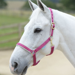 Halster Bucas Dublin Roze / zilver Halster Bucas Dublin Roze / zilver