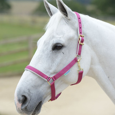 Halster Bucas Dublin Roze / zilver Halster Bucas Dublin Roze / zilver