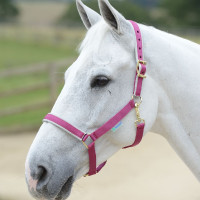 Licol Bucas Dublin Rose / argent