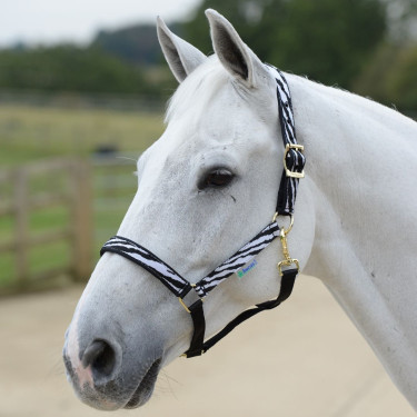 Halster Bucas Dublin Zebra / zwart Motieven Halster Bucas Dublin Zebra / zwart Motieven