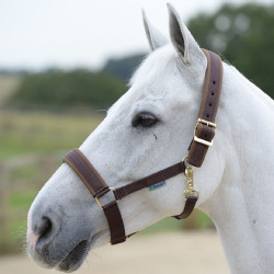 Halster Bucas Comfort Halster Bucas Comfort