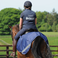 Waterdichte vierkante staldeken Bucas Marineblauw / zilver