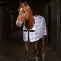 Overhemd Riding World Mesh Wit