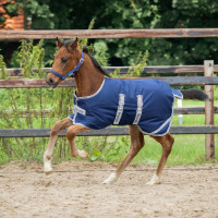 Couverture poulain Bucas Turnout 50g Bleu marine argent / bleu marine Couverture poulain Bucas Turnout 50g Bleu marine argent / bleu marine