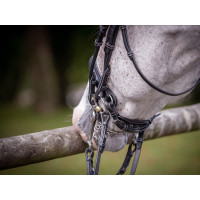 Glanzende dressuurring Jump'In week Zwart Glanzende dressuurring Jump'In week Zwart