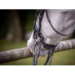 Glanzende dressuurring Jump'In week Zwart Glanzende dressuurring Jump'In week Zwart