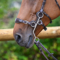 Beschermers Jump'In voor hackamore 0091 en 0092 Havana