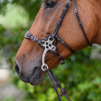 Protections Jump'In pour hackamore 0093 Havane Marron Protections Jump'In pour hackamore 0093 Havane Marron