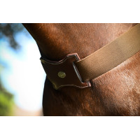 Elastische hulpteugel Jump'In Havana Bruin Elastische hulpteugel Jump'In Havana Bruin