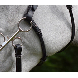 Bedragen en riem voor hackamore Jump'In week Bedragen en riem voor hackamore Jump'In week
