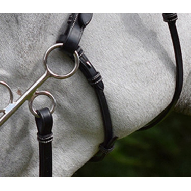 Bedragen en riem voor hackamore Jump'In week Bedragen en riem voor hackamore Jump'In week