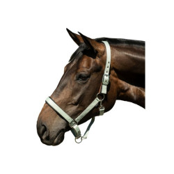 Licol Breakaway 2 HKM Jade Bleu Licol Breakaway 2 HKM Jade Bleu