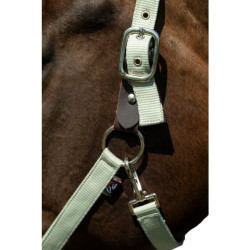 Licol Breakaway 2 HKM Jade Bleu Licol Breakaway 2 HKM Jade Bleu