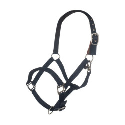 Licol Breakaway 2 HKM Bleu foncé