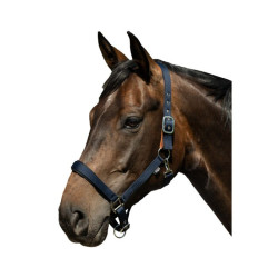 Licol Breakaway 2 HKM Bleu foncé Licol Breakaway 2 HKM Bleu foncé