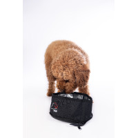 Reisvoerbak voor honden Buddy HKM Zwart Reisvoerbak voor honden Buddy HKM Zwart