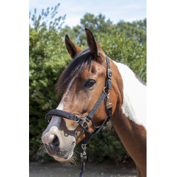 Licol Safe Control Style HKM Noir